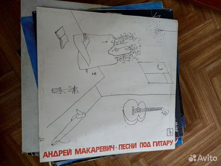 Андрей Макаревич винил