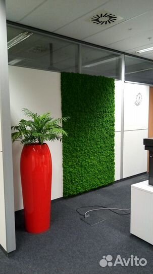 Логотип из стабилизированного мха