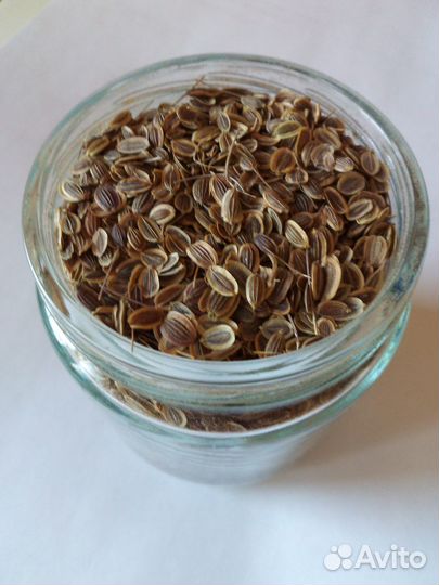 Укроп (цена за 100 грамм)