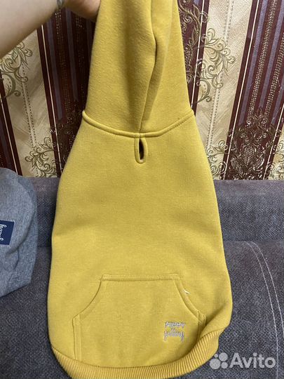 Худи для мелких собачек