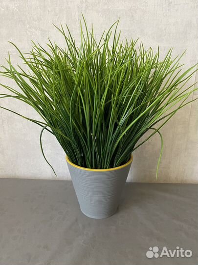 Осока искуственная