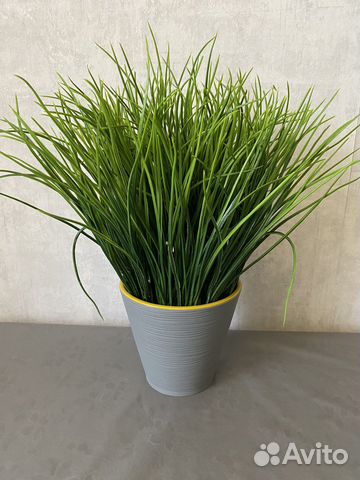 Осока искуственная