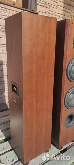 Taoc LC-800 Напольные ас