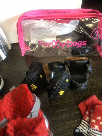 Вещи для собаки