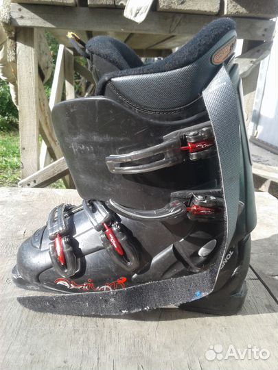 Горные лыжи