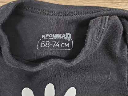 Набор бодиков с длинным рукавом на девочку 68, Волгоград