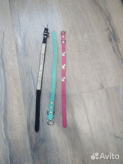 Ошейники для мелких собак