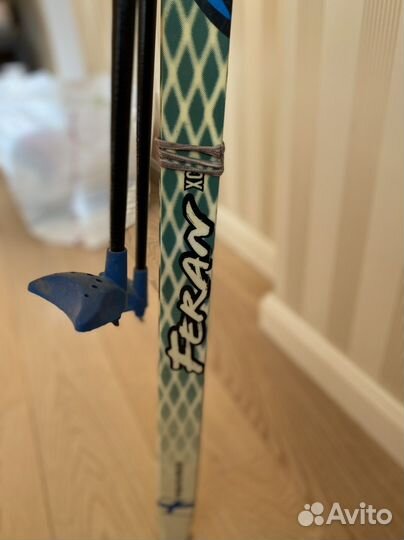 Беговые лыжи