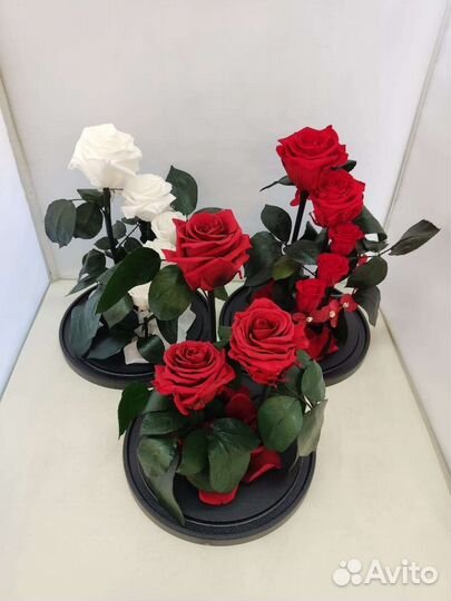 Роза в колбе