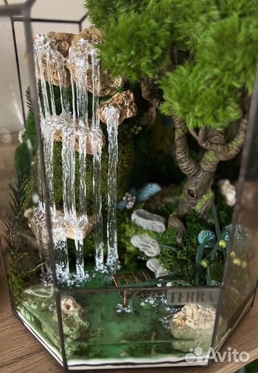 Флоририум или моссариум