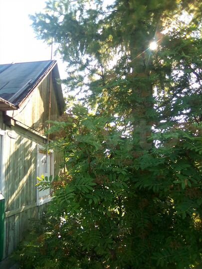 Дача 40 м² на участке 9 сот.