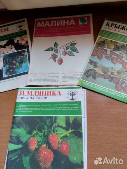 Книги: сад-огород