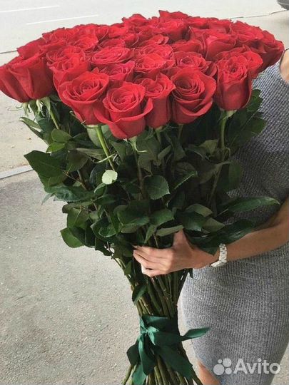 Розы гиганты в Ставрополе