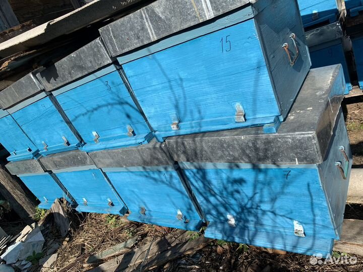 Ульи для пчел