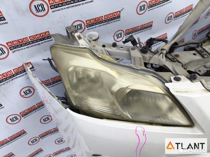 Nose cut toyota premio