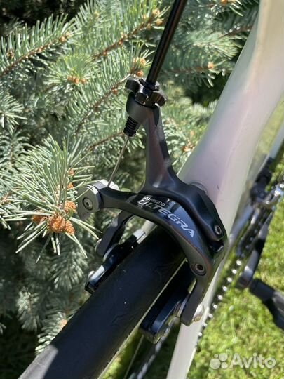 Canyon Speedmax CF 2011 (F10 )