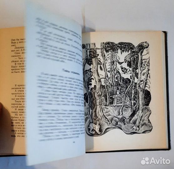 Пять дней из жизни черепахи. Рассказы