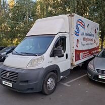 FIAT Ducato промтоварный, 2013