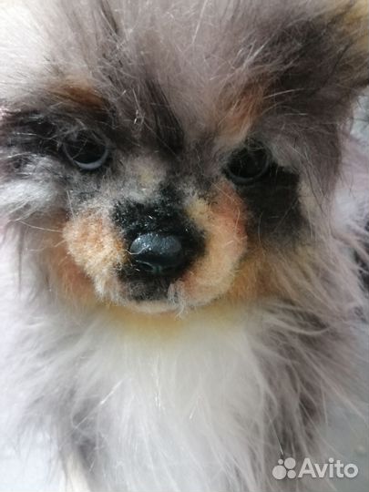 Реалистичный шпиц ручной работы