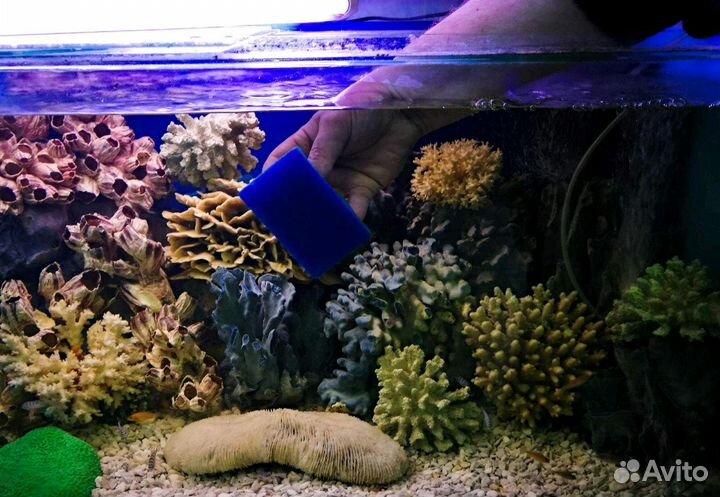 Чистка,обслуживание аквариумов Краснодар