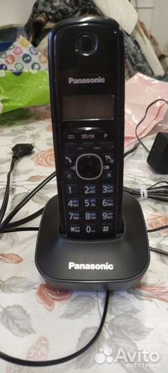 Panasonic