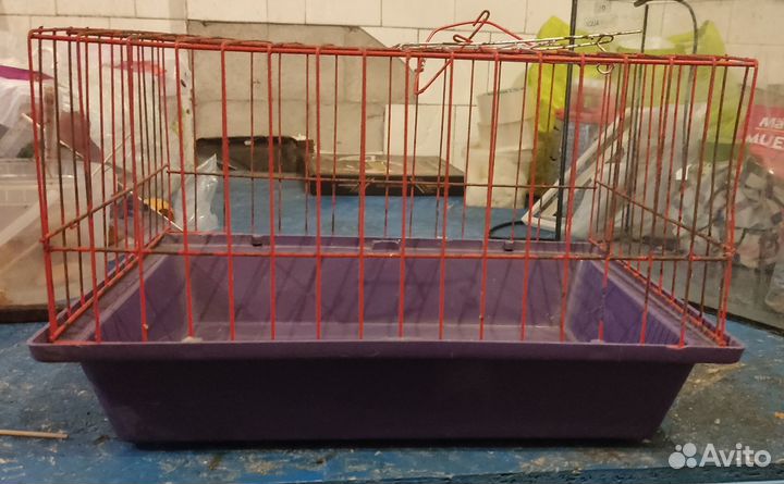 Клетка для грызунов бу