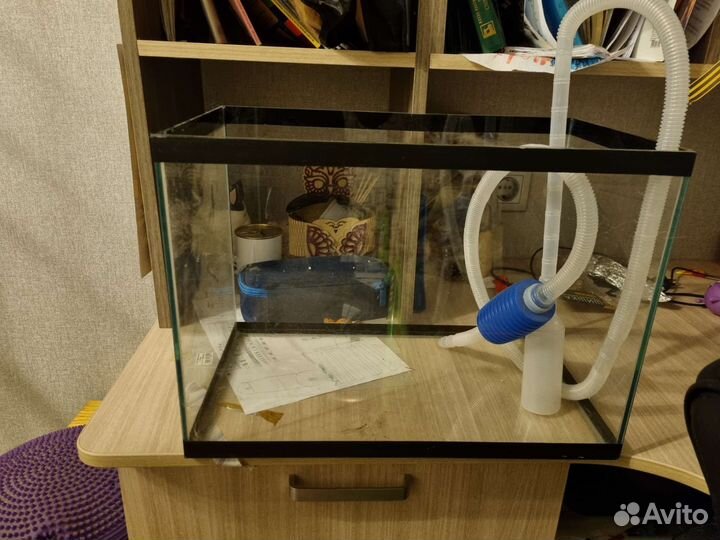 Аквариумные рыбки