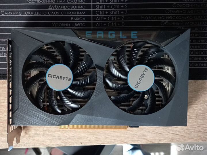 AMD radeon RX6400 gigabyte