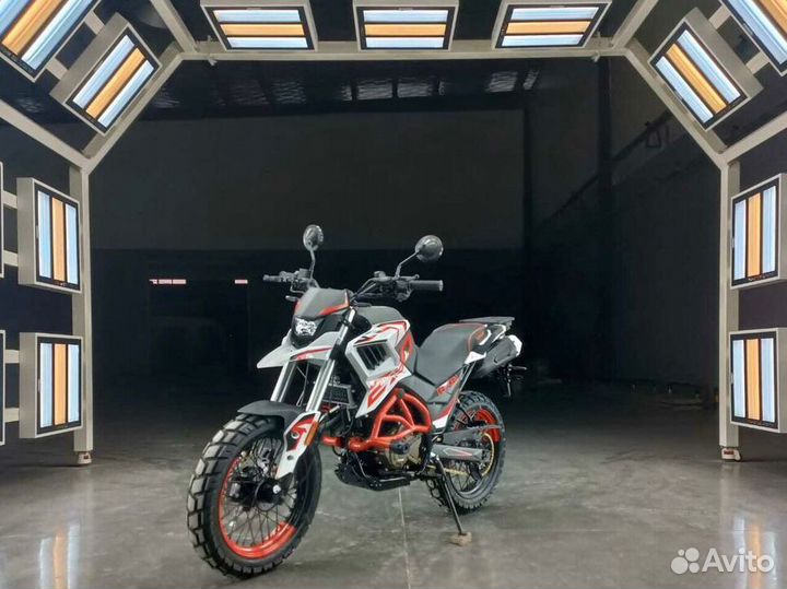 Fuego tekken 250/300