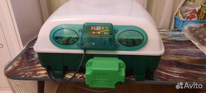 Инкубатор River Covina Super 49ET