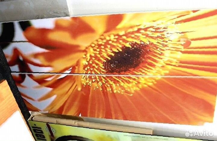 Фотопечать на стеклянной перегородке