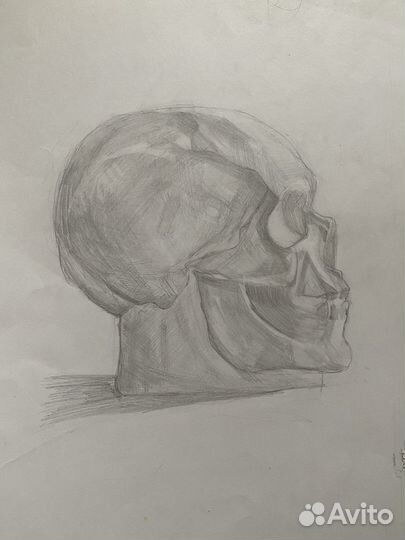 Рисунок черепа карандашом