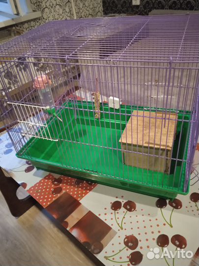 Клетка для грызунов бу