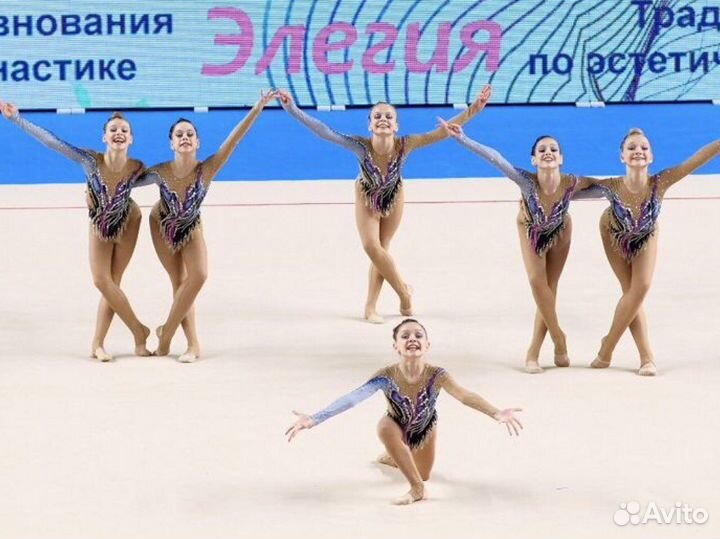 Купальник для художественной гимнастики