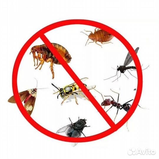 Обработка от комаров клещей тараканов насекомых