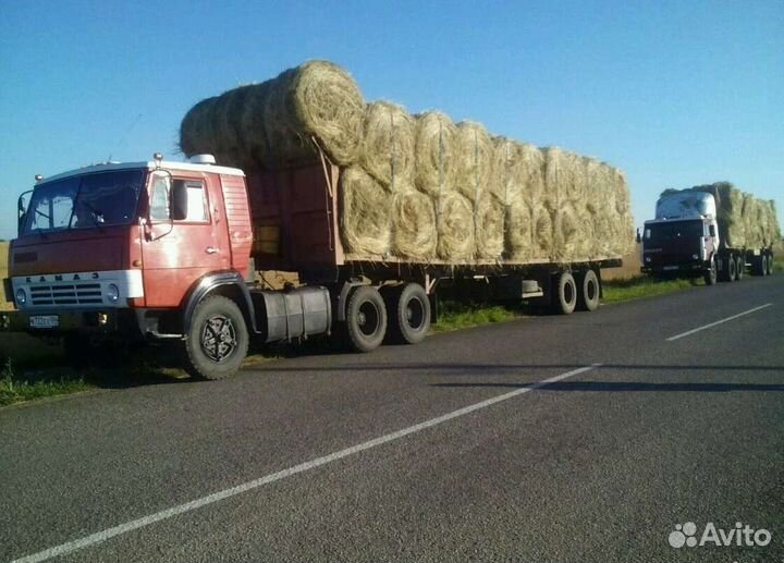 Сено 2023г Ангарский район в наличии