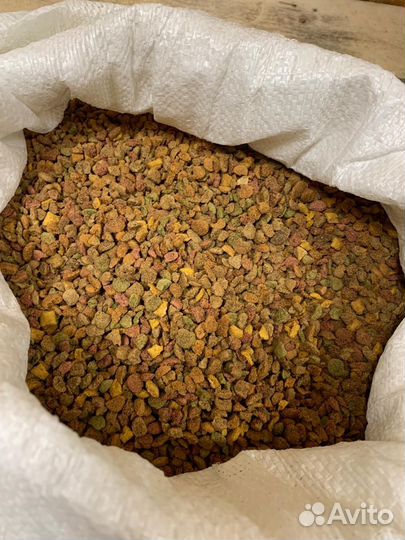 Сухой корм для кошек