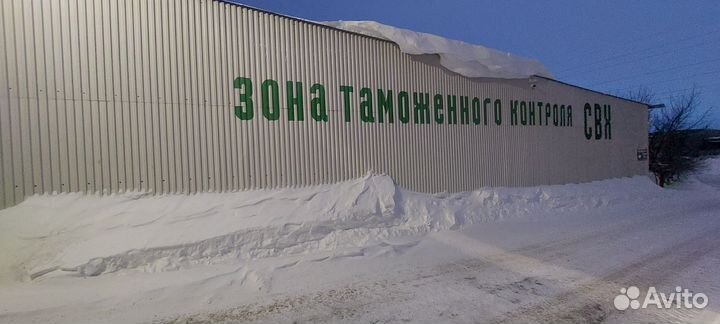 Консультация по экспорту, импорту, вэд