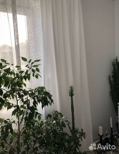 Шторы тюль комплектом 6 штук