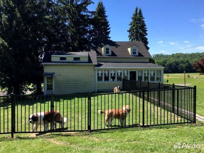 Забор из профильных труб с ковкой