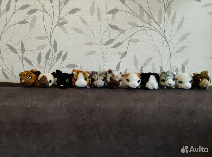 Журналы The Cat Collection с котятами