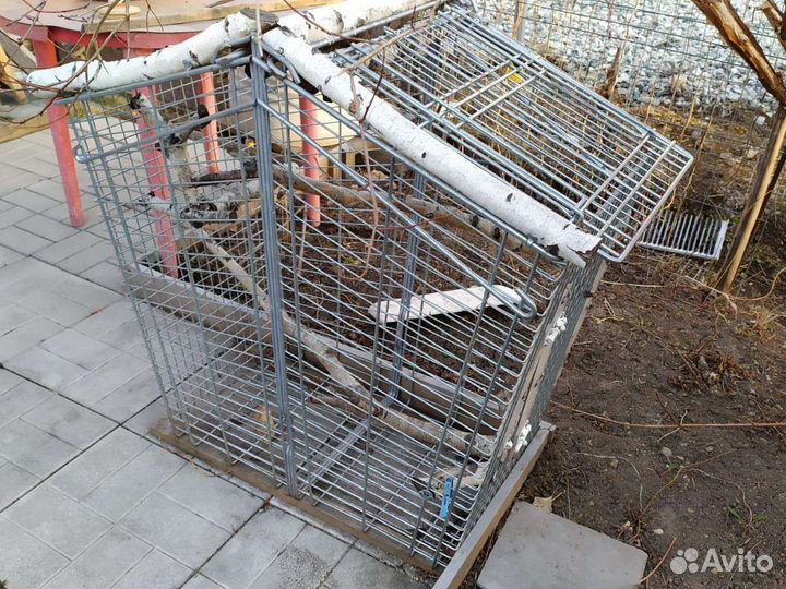 Клетка вольер для крупных птиц