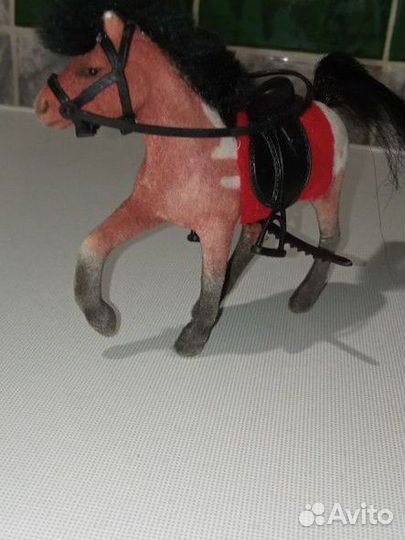 Кобыла в сбруе