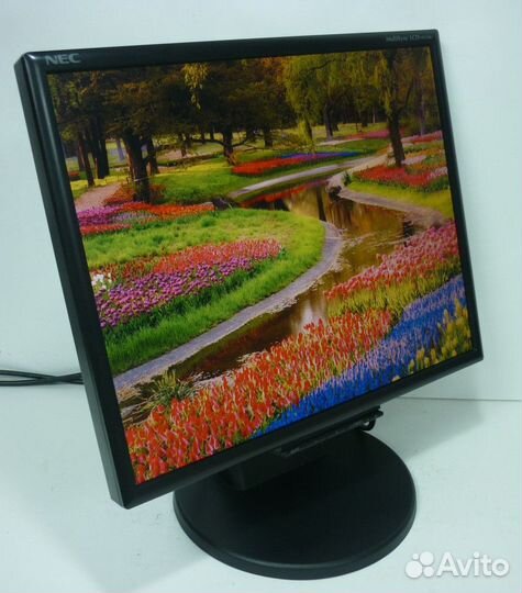 Монитор 19
