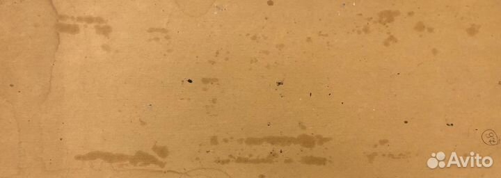 Картина. Дунчев С.Я. 