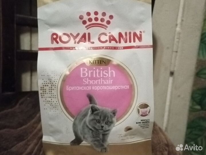 Корм для кошек