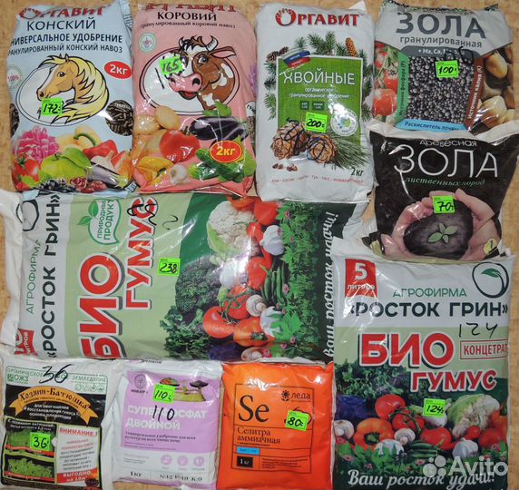 Фертика, ому, Хелаты, Гуми-Оми, Буйск