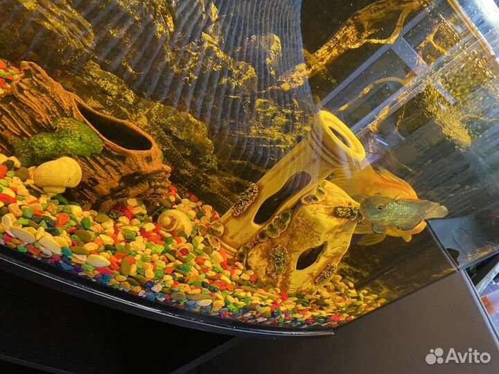 Аквариум с тумбой бу