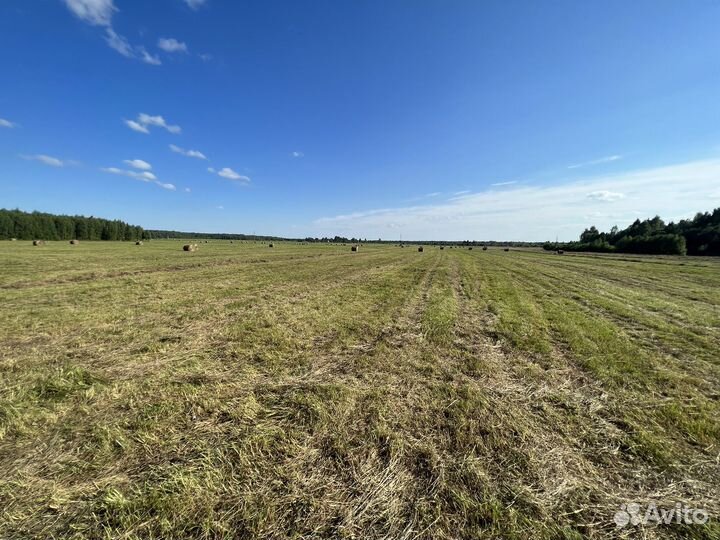 Сено в рулонах(krone KR130 пресс-подборщик)