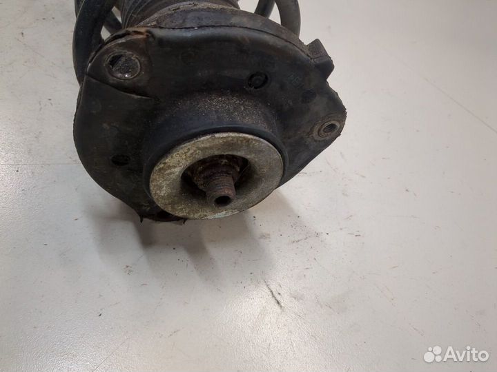 Амортизатор подвески Volkswagen Tiguan, 2010